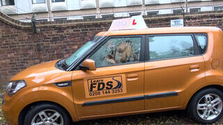 Fake Driving School Amber Rayne esete a termetes csoki fasszal
