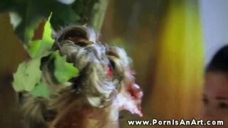 Dupla forró pipi nyaldosja a punciját a szabadban